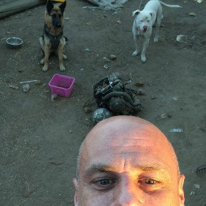 DoG DaDdY