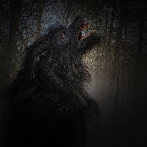 WEREWOLF 