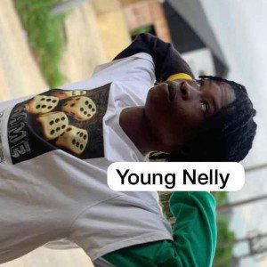 Mixdown (5:34:07 PM) by. Young Nelly 