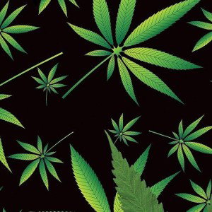 mad weed