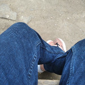 hayal's