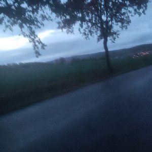 Bandlike-Kopfstein