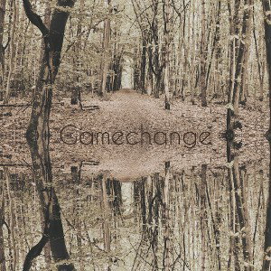 Gamechange - BVB.