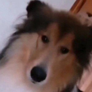 что-то пробую