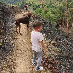 cambiar o morir 