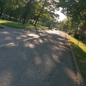 Arnijs_2213#_Zinko_ēdis__
