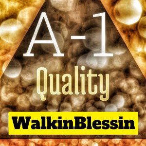 Go Get It -  Walkin Blessin 