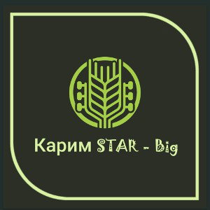  Карим STAR - Big 