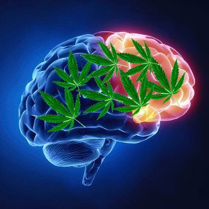 One ☝️ Mind 🧠Ft MaddHandlez 