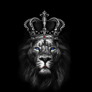 it don't make no sense it's just the return of the king 