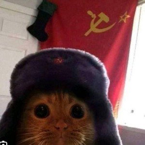 это первый трек