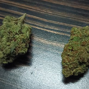 SNOOKIE🤬AND🤫SUGAR👀