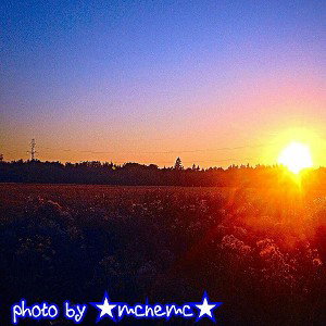 ★mcnemc★—Летний План.●•••[Анастасия Криденер]