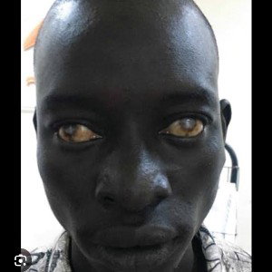 diss to corey