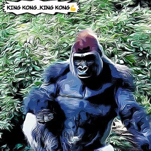King Kong 