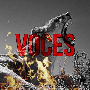 Voces