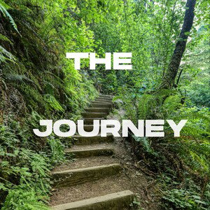  the journey