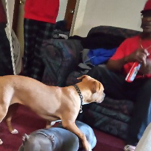 Truth Tellers 3 Grimm Lock N Zacari Harris