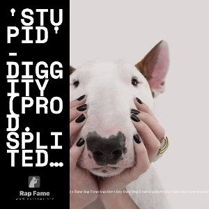 'Stupid' - Diggity (Prod. Splited) HOOK ONLY