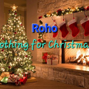 Nothing For Christmas 