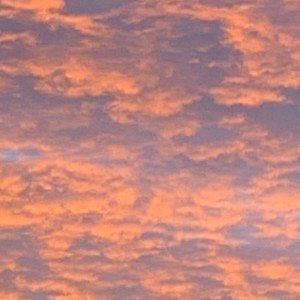 put your hands to the sky