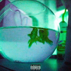 Dar!z - She Don’t