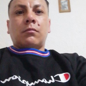 perros callejeros