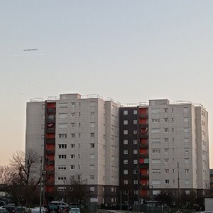Freestyle du mélomane 
