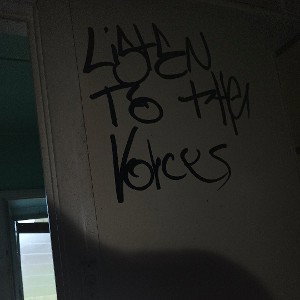 NIMS - the voices