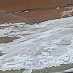 Flying