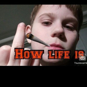 How life is