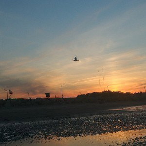 FREESTYLE -- ALL ALONE