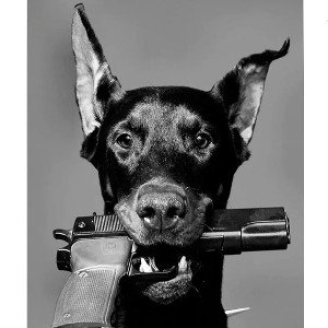 "Doberman" 
