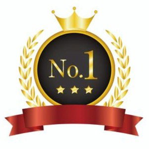 number 1 freestyle 