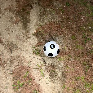 I will be someone one day _1_
