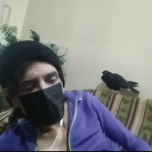 ستارخان_۲