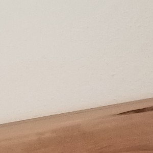 was erwartet ihr von mir?(fnbl Statement)