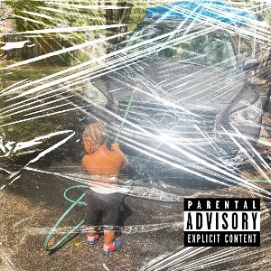 I am not $tupid pro by ill Will