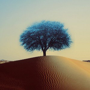 Der Augenblick (Open Verse)