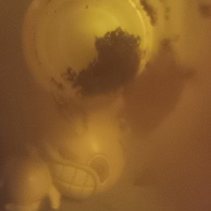 LostButHunted