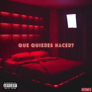que quieres hacer