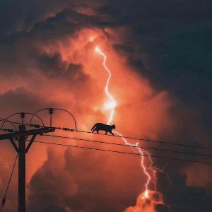 cielo Roto