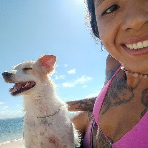 Amor aos animais