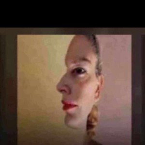 no copy 