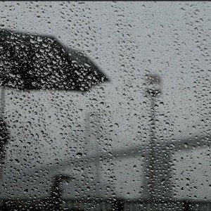 Remember The Rain 