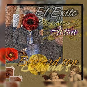 Bastard son -  El éxito el próximo avion