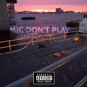 MIC don't play 