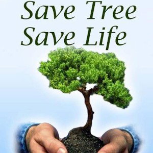 SAVE TREE 