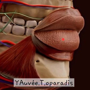 YAuvée.T.o paradis