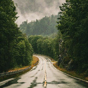 Lonely Road 🛣️